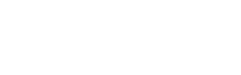 TheNextSecurity